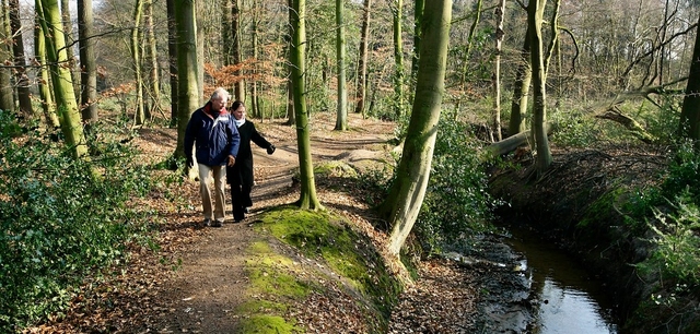 Hof Espelo mooiste wandelgebied van Nederland.jpg